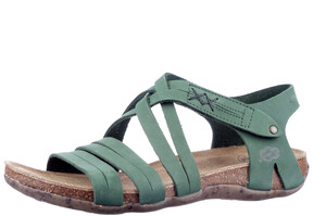 31244 Loints groen