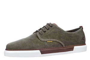 22238789 Camel groen
