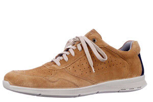 324325 H Jomos camel