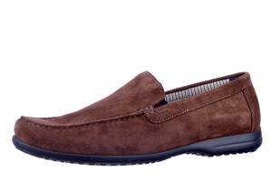 Giumelo Sioux bruin