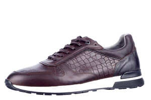 Oyama Berkelmans bruin croco