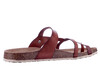 6186706-30 Cosmos bruin thumbnail