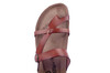 6186706-30 Cosmos bruin thumbnail