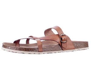 6186706-30 Cosmos cognac