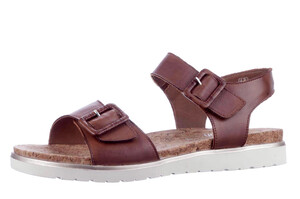D4063-24 Remonte bruin