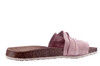 6186-702 Cosmos roze thumbnail