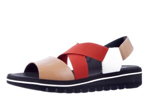 230787 PieSanto multi