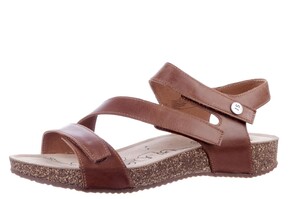 78519 69 480 Seibel camel