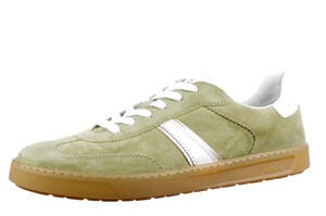 Sioux groen Tedroso-DA-707 40679