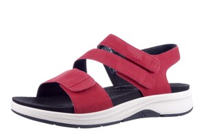 Seibel rood 97303 