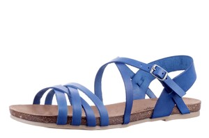 Cosmos blauw 6106807-8