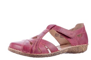 Seibel bordeaux 79529
