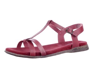 Seibel bordeaux 74501