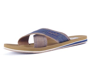 CATWYCK AUSTRALIAN BRUIN