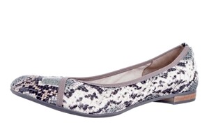 39.170.186 DC PYTHON GROEN