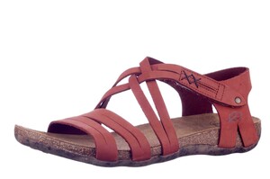 31244 LOINTS STEEN BRUIN