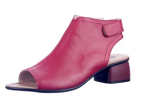 R8770.33 EMONTE ROOD