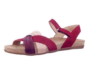 5242 EL NATURALISTA ROOD MIX