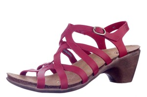 52863 LOINTS ROOD