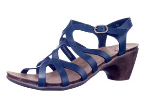 52863 LOINTS BLAUW