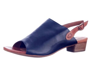 23221 EVERYBODY BLAUW