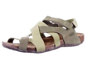 31821 LOINTS GROEN