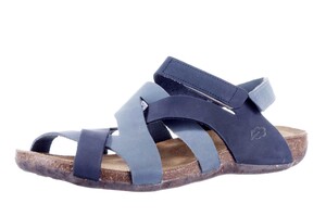 31821 LOINTS BLAUW