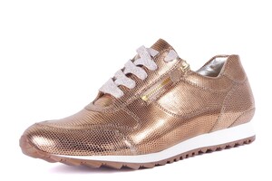 330.1915 HASSIA ROZE/GOUD