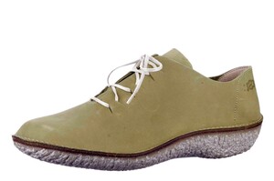37831 LOINTS GROEN