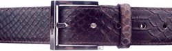 1023 Giorgio bruin print riem bruin print